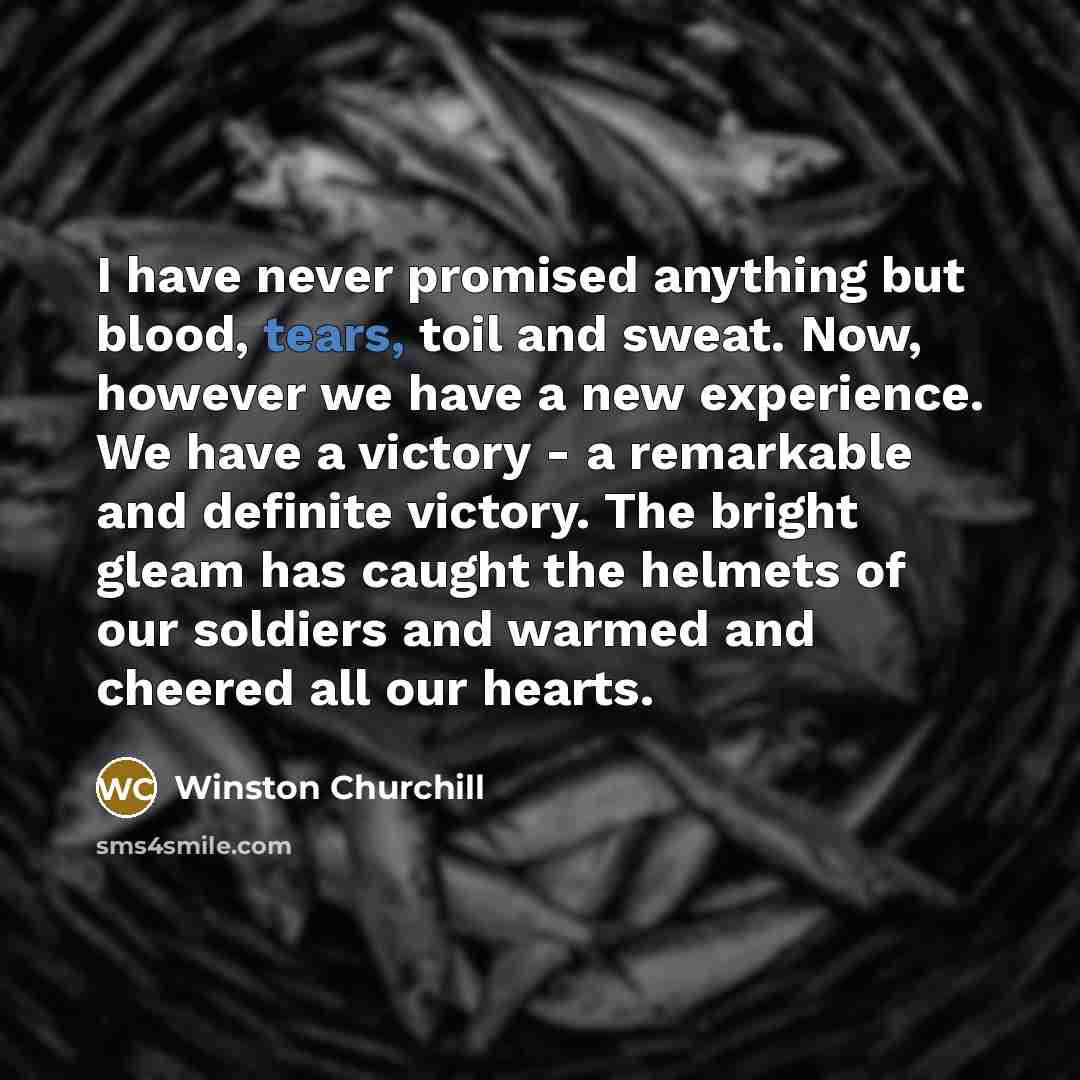 “I have never promised anything but blood, tears, toil and…” quote by Winston Churchill