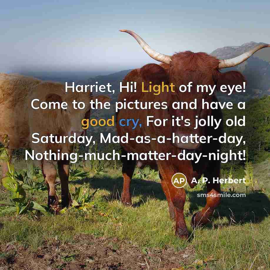 “Harriet, Hi! Light of my eye! Come to the pictures…” quote by A. P. Herbert