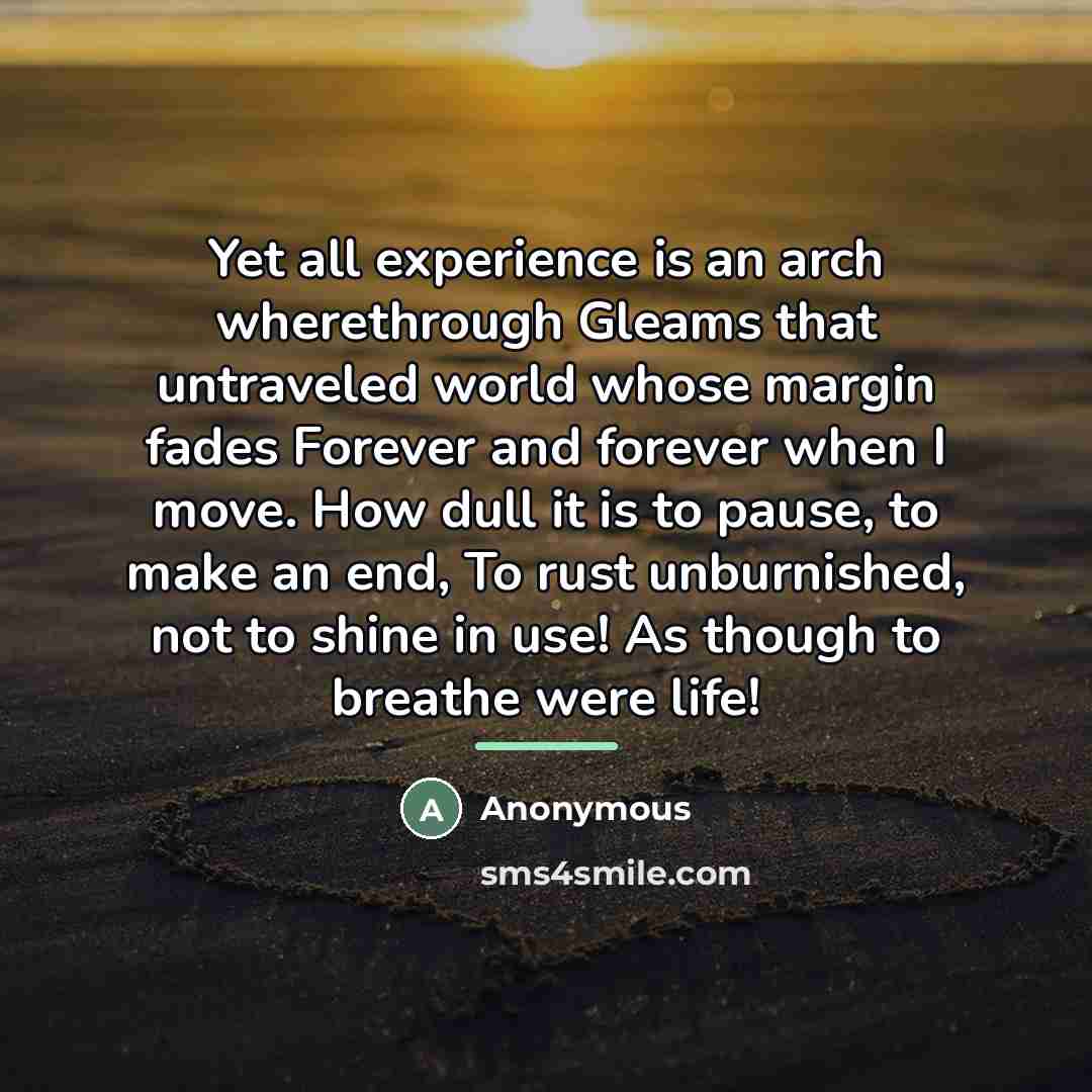 “Yet all experience is an arch wherethrough Gleams that untraveled…” quote by Anonymous