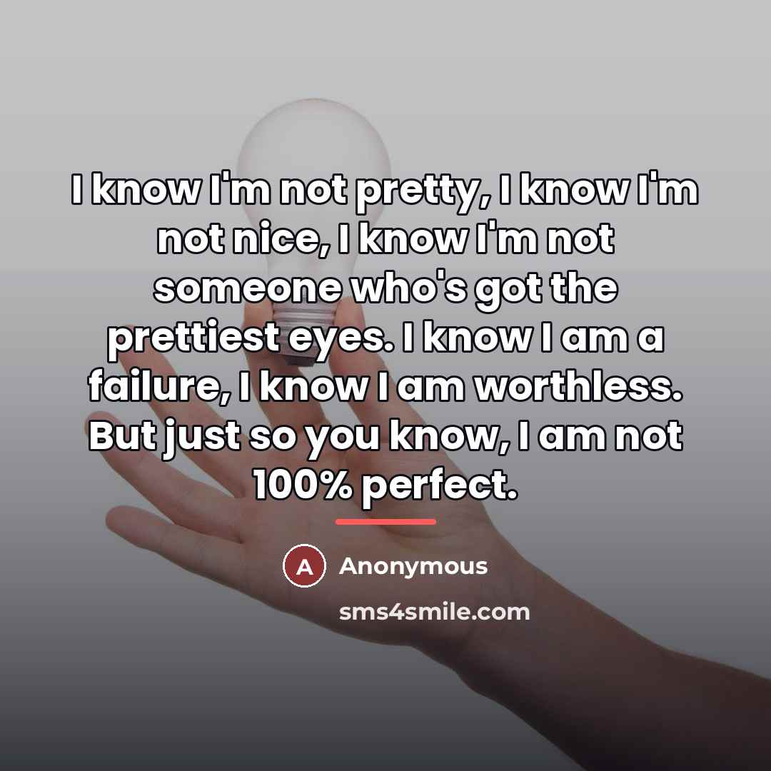 “I know I'm not pretty, I know I'm not nice,…” quote by Anonymous