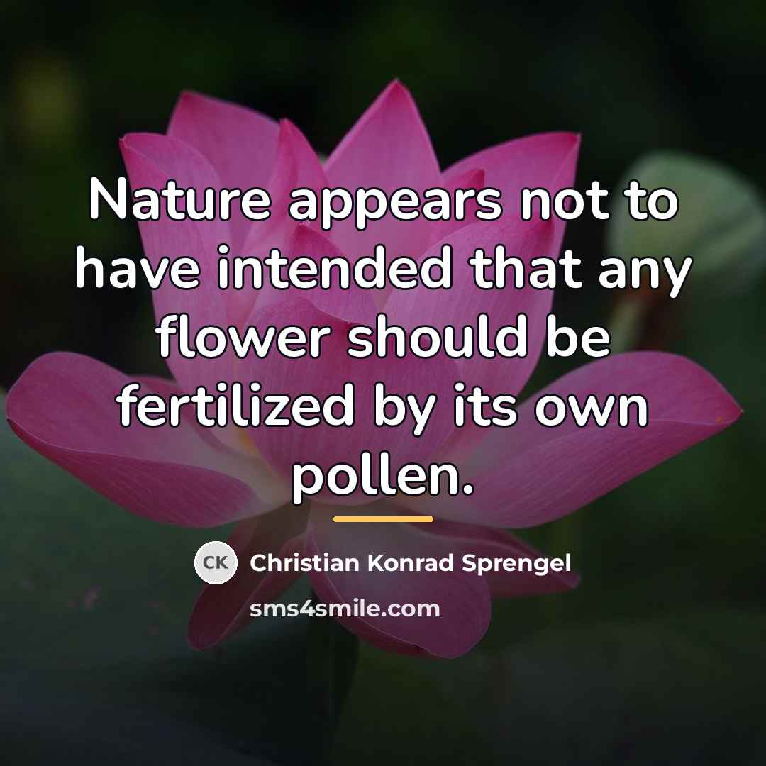 “Nature appears not to have intended that any flower should…” quote by Christian Konrad Sprengel