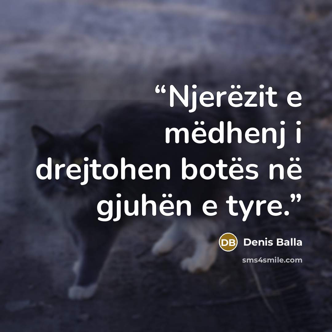“Njerëzit e mëdhenj i drejtohen botës në gjuhën e tyre.” quote by Denis Balla