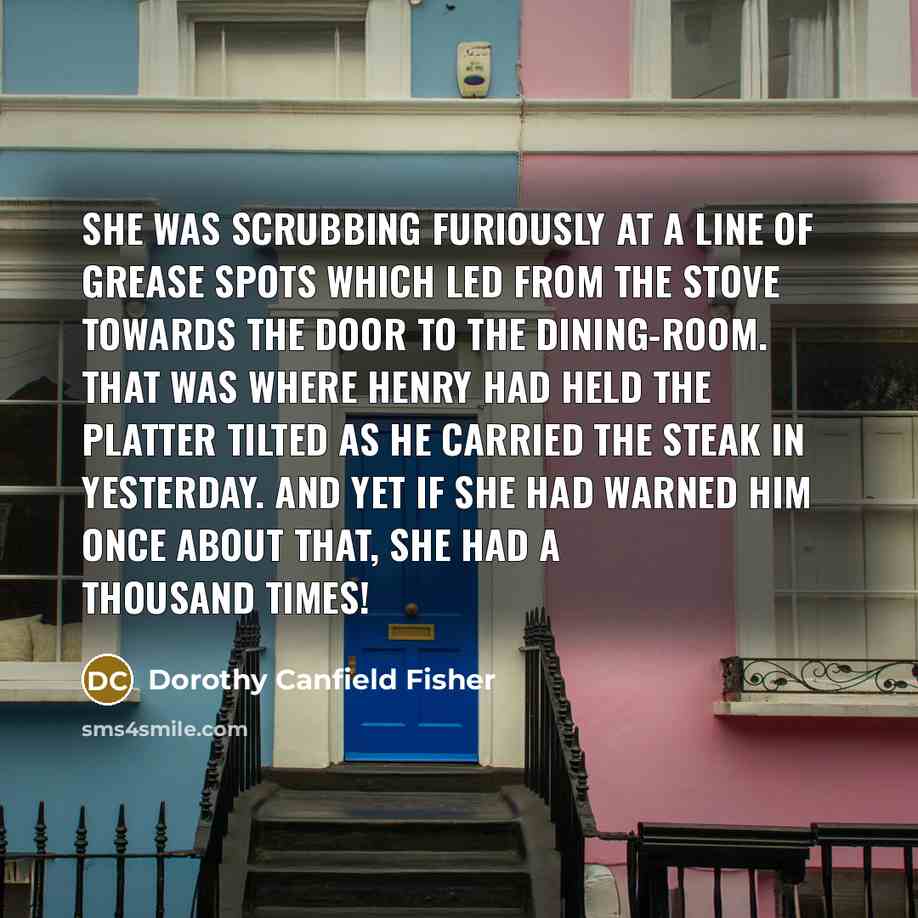 “She was scrubbing furiously at a line of grease spots…” quote by Dorothy Canfield Fisher