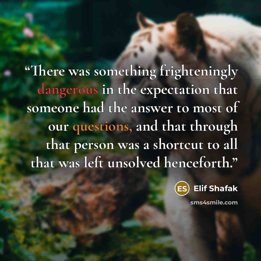 “There was something frighteningly dangerous in the expectation that someone had the answer to most of our questions, and that through that person was a shortcut to all that was left unsolved henceforth.” quote by Elif Shafak