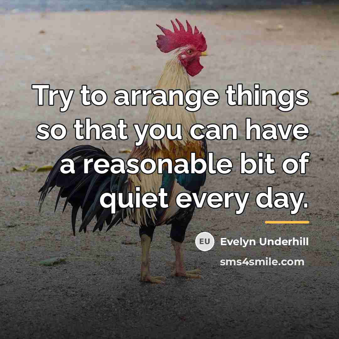 “Try to arrange things so that you can have a…” quote by Evelyn Underhill