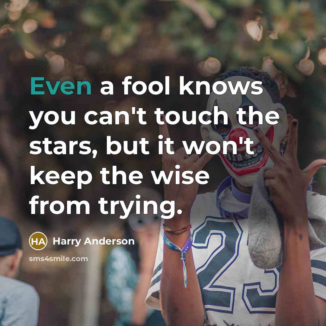 “Even a fool knows you can't touch the stars, but…” quote by Harry Anderson