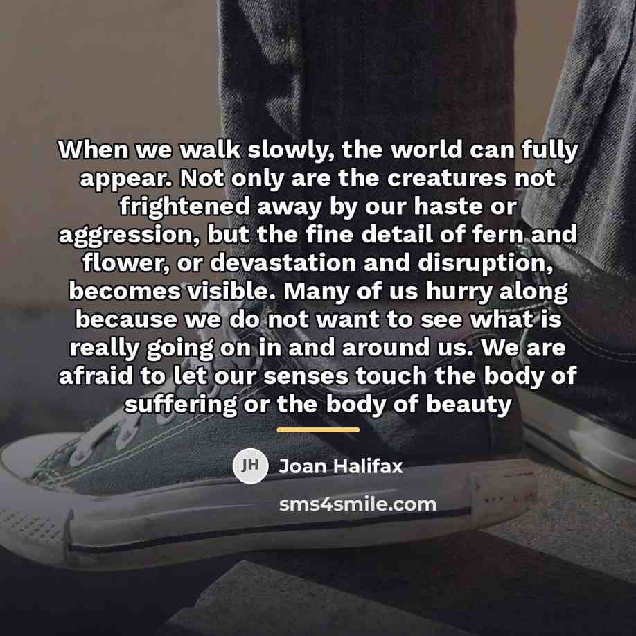 “When we walk slowly, the world can fully appear. Not…” quote by Joan Halifax