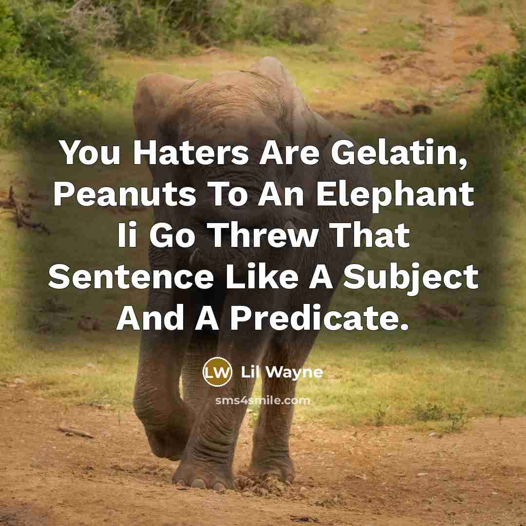 “You Haters Are Gelatin, Peanuts To An Elephant Ii Go…” quote by Lil Wayne
