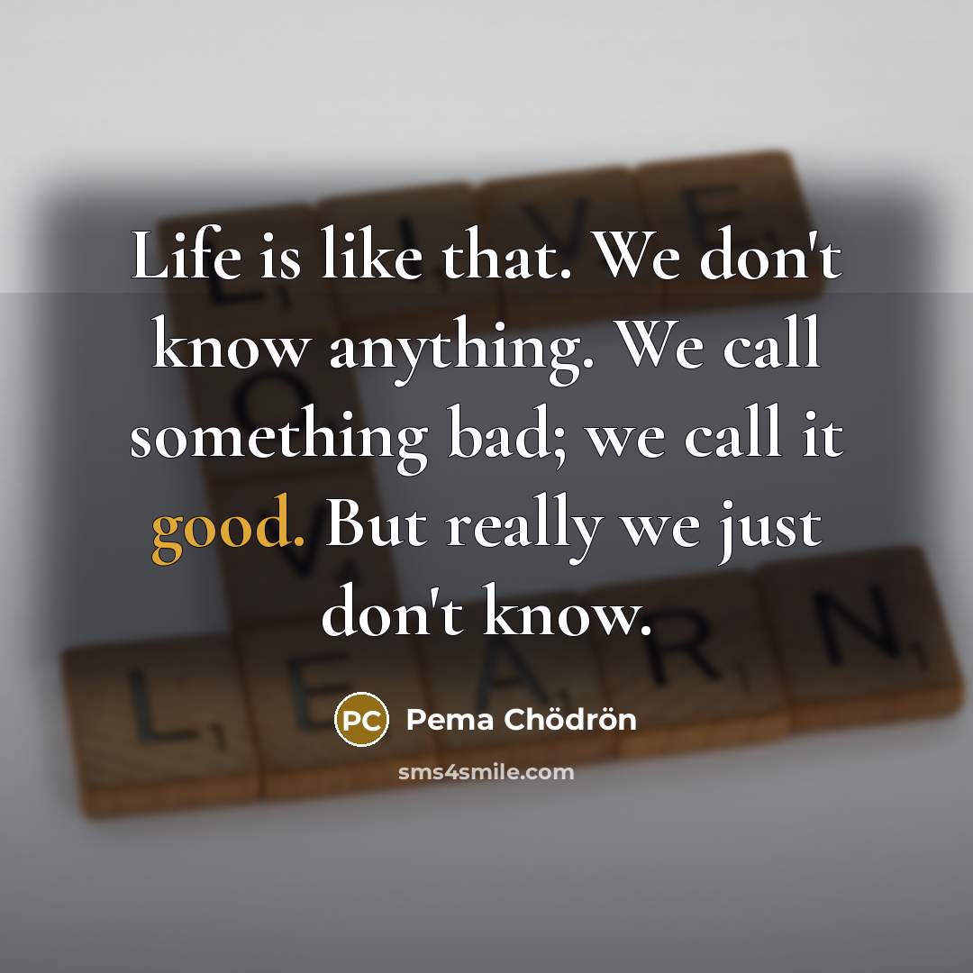 “Life is like that. We don't know anything. We call…” quote by Pema Chodron