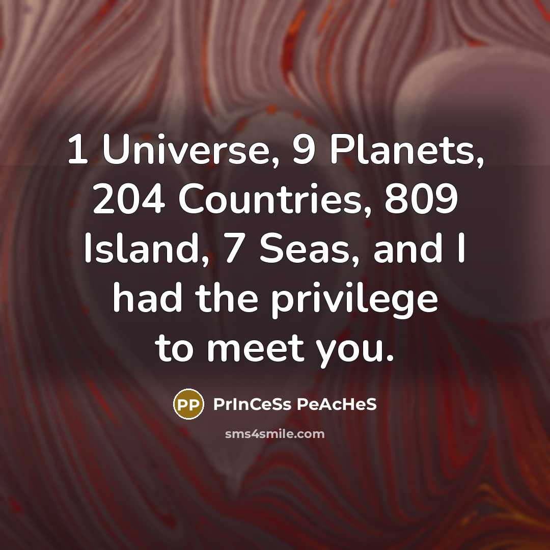 “1 Universe, 9 Planets, 204 Countries, 809 Island, 7 Seas, and I had the privilege to meet you.” quote by PrInCeSs PeAcHeS