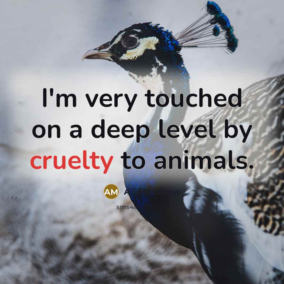 “I'm very touched on a deep level by cruelty to…” quote by Ali MacGraw