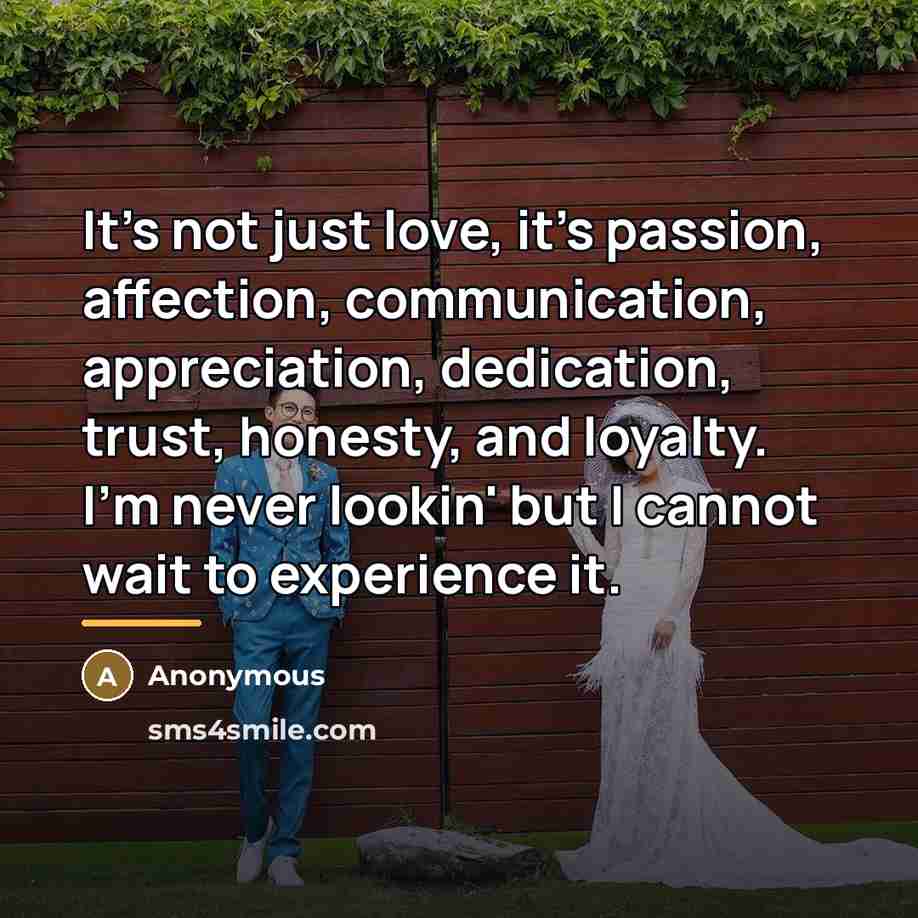 “It's not just love, it's passion, affection, communication, appreciation, dedication,…” quote by Anonymous