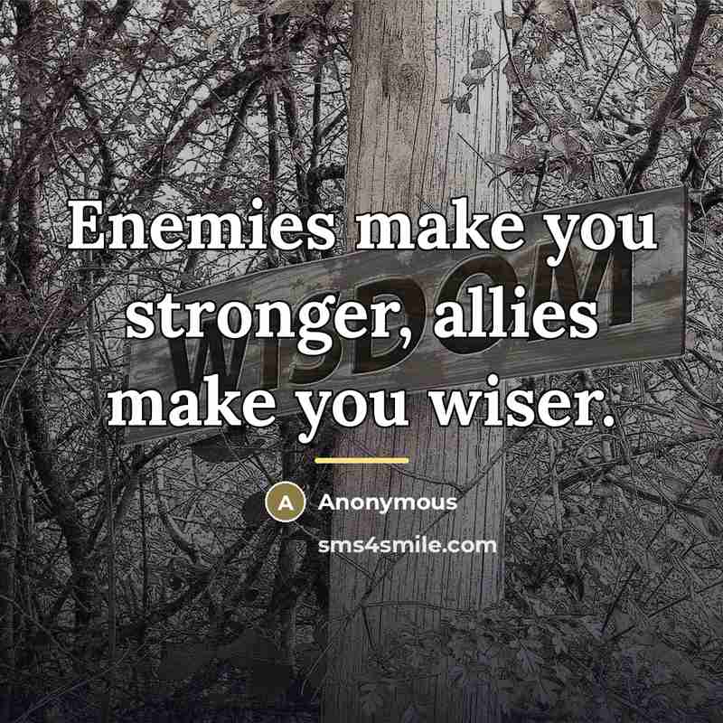 “Enemies make you stronger, allies make you wiser.…” quote by Anonymous