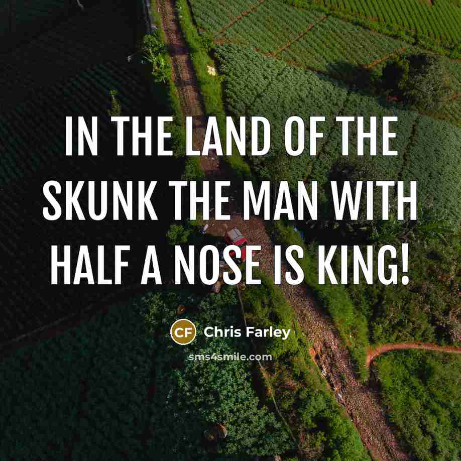 “In the land of the skunk the man with half…” quote by Chris Farley