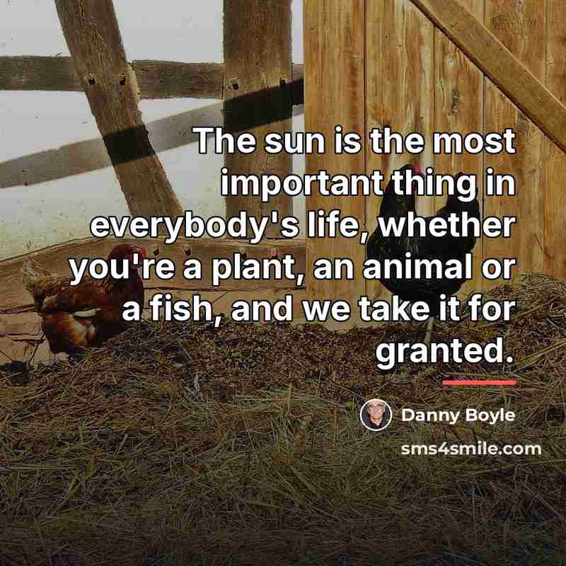“The sun is the most important thing in everybody's life,…” quote by Danny Boyle