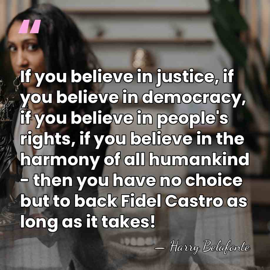 If you believe in justice, if you believe in democracy, if you&hellip; - Harry Belafonte