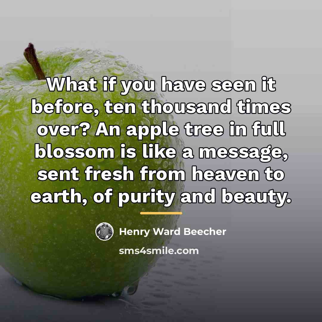 “What if you have seen it before, ten thousand times…” quote by Henry Ward Beecher