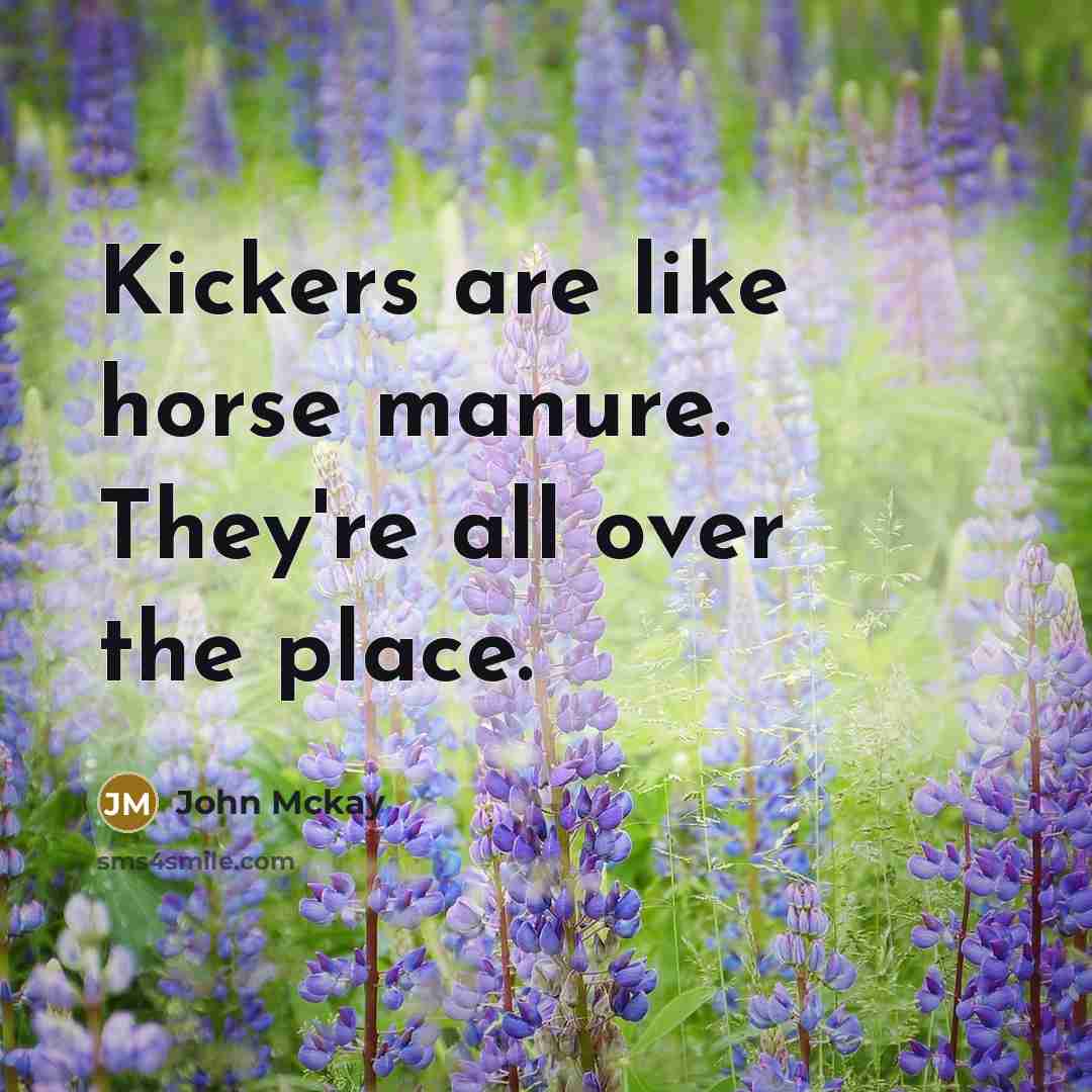 “Kickers are like horse manure. They're all over the place.” quote by John Mckay