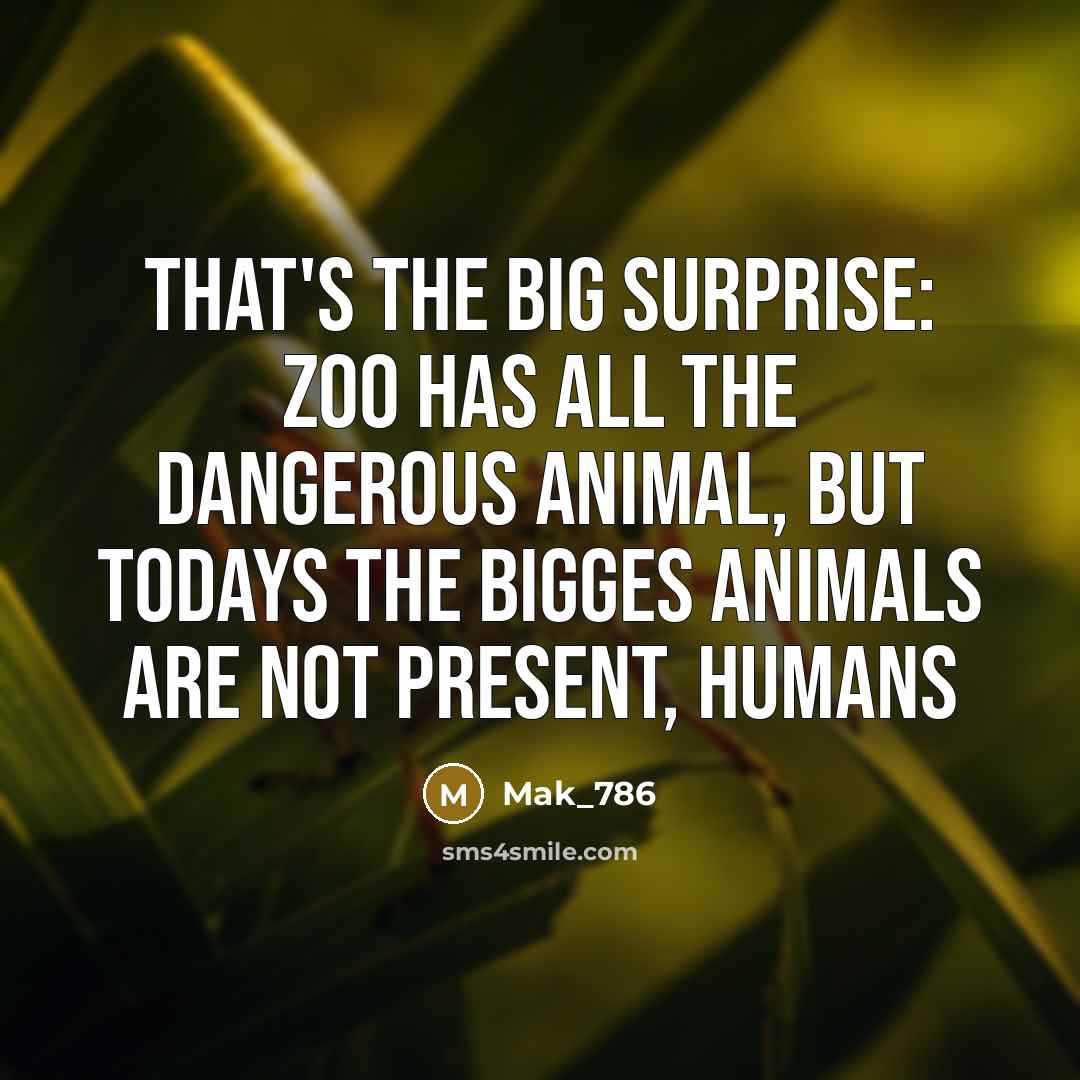 “That's the big surprise: Zoo has all the dangerous animal,…” quote by Mak_786