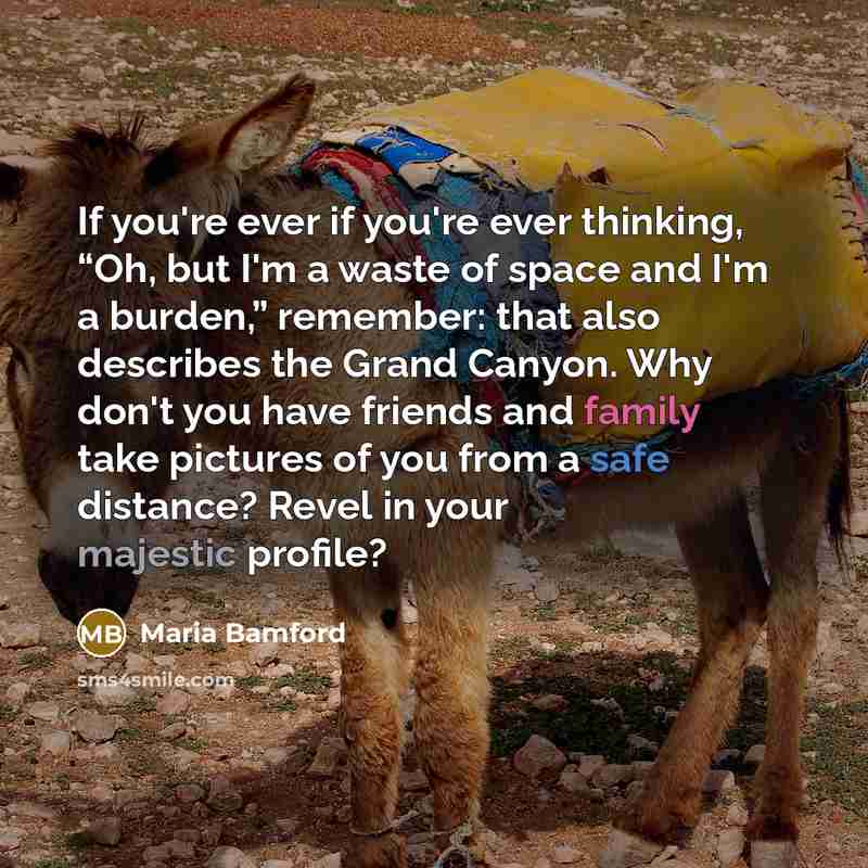 “If you're ever if you're ever thinking, “Oh, but I'm…” quote by Maria Bamford