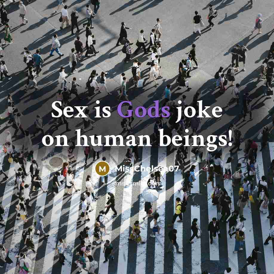 “Sex is Gods joke on human beings!” quote by MissChelsea07