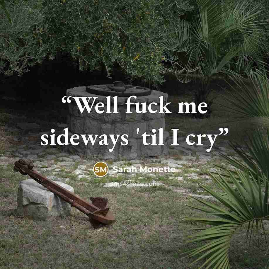“Well fuck me sideways 'til I cry” quote by Sarah Monette