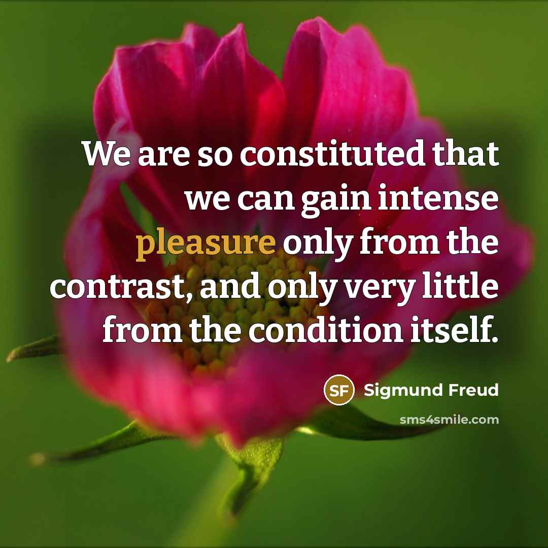 “We are so constituted that we can gain intense pleasure…” quote by Sigmund Freud