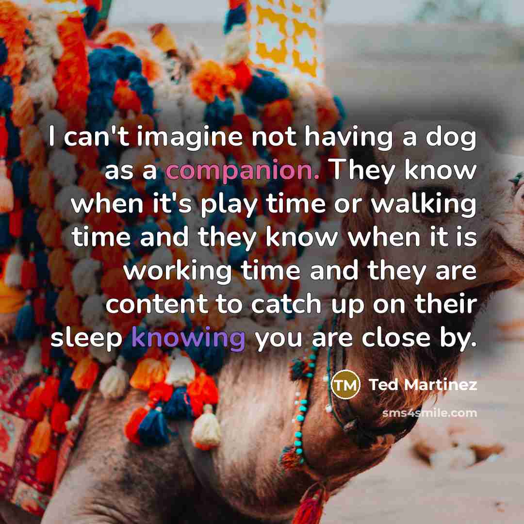 “I can't imagine not having a dog as a companion. They know when it's play time or walking time and they know when it is working time and they are content to catch up on their sleep knowing you are close by.” quote by Ted Martinez
