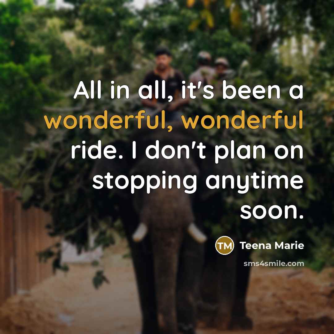 “All in all, it's been a wonderful, wonderful ride. I…” quote by Teena Marie