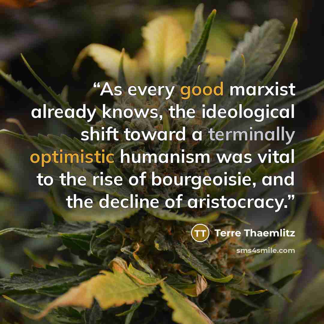 “As every good marxist already knows, the ideological shift toward a terminally optimistic humanism was vital to the rise of bourgeoisie, and the decline of aristocracy.” quote by Terre Thaemlitz
