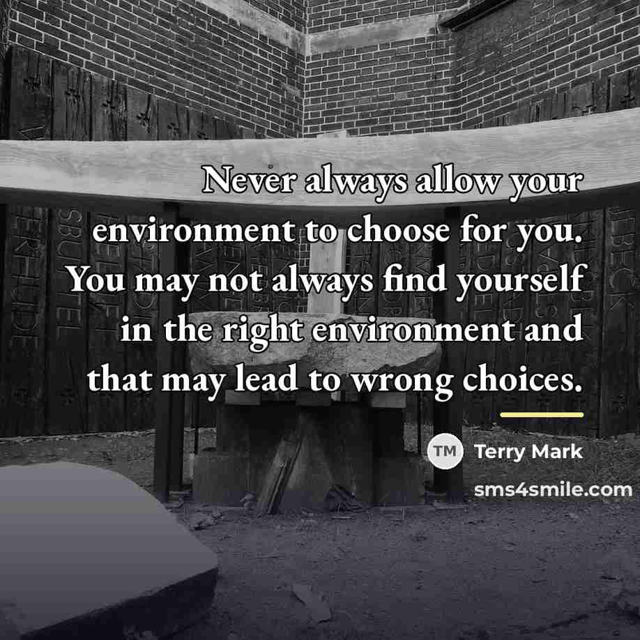 “Never always allow your environment to choose for you. You…” quote by Terry Mark