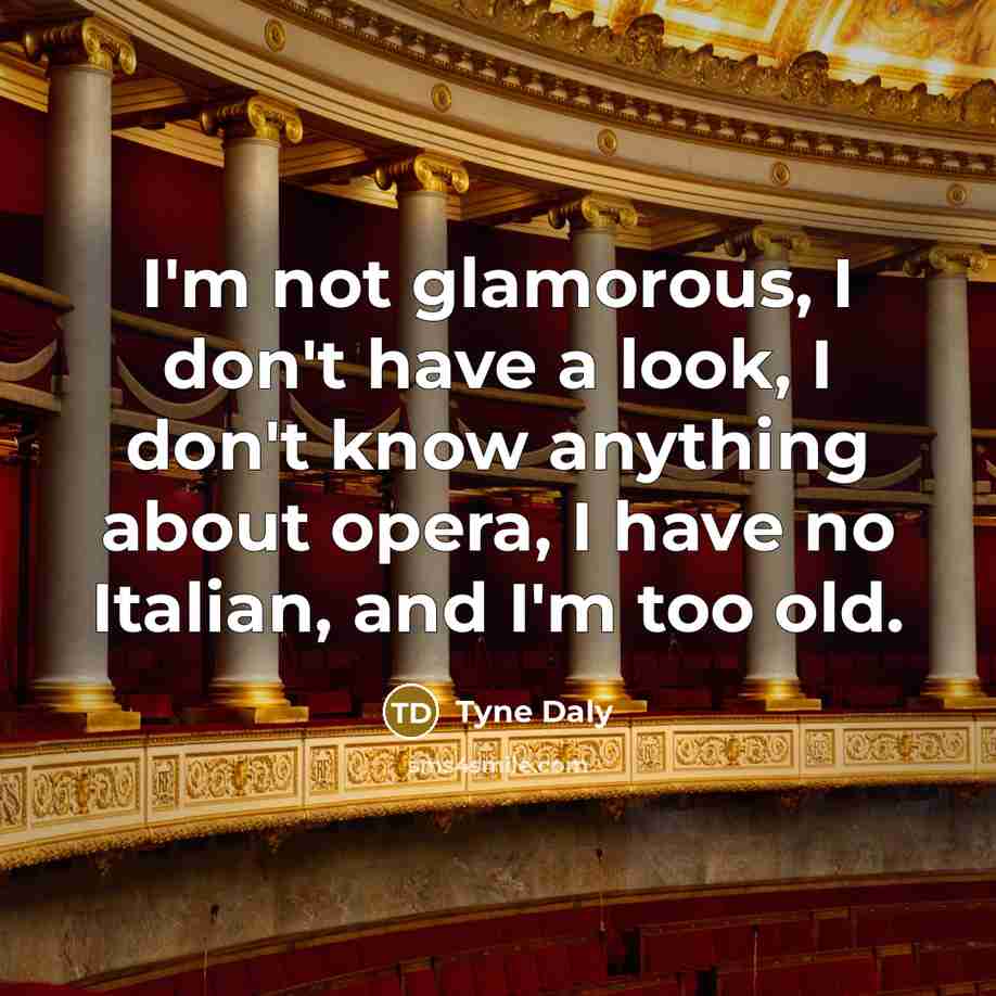 “I'm not glamorous, I don't have a look, I don't…” quote by Tyne Daly