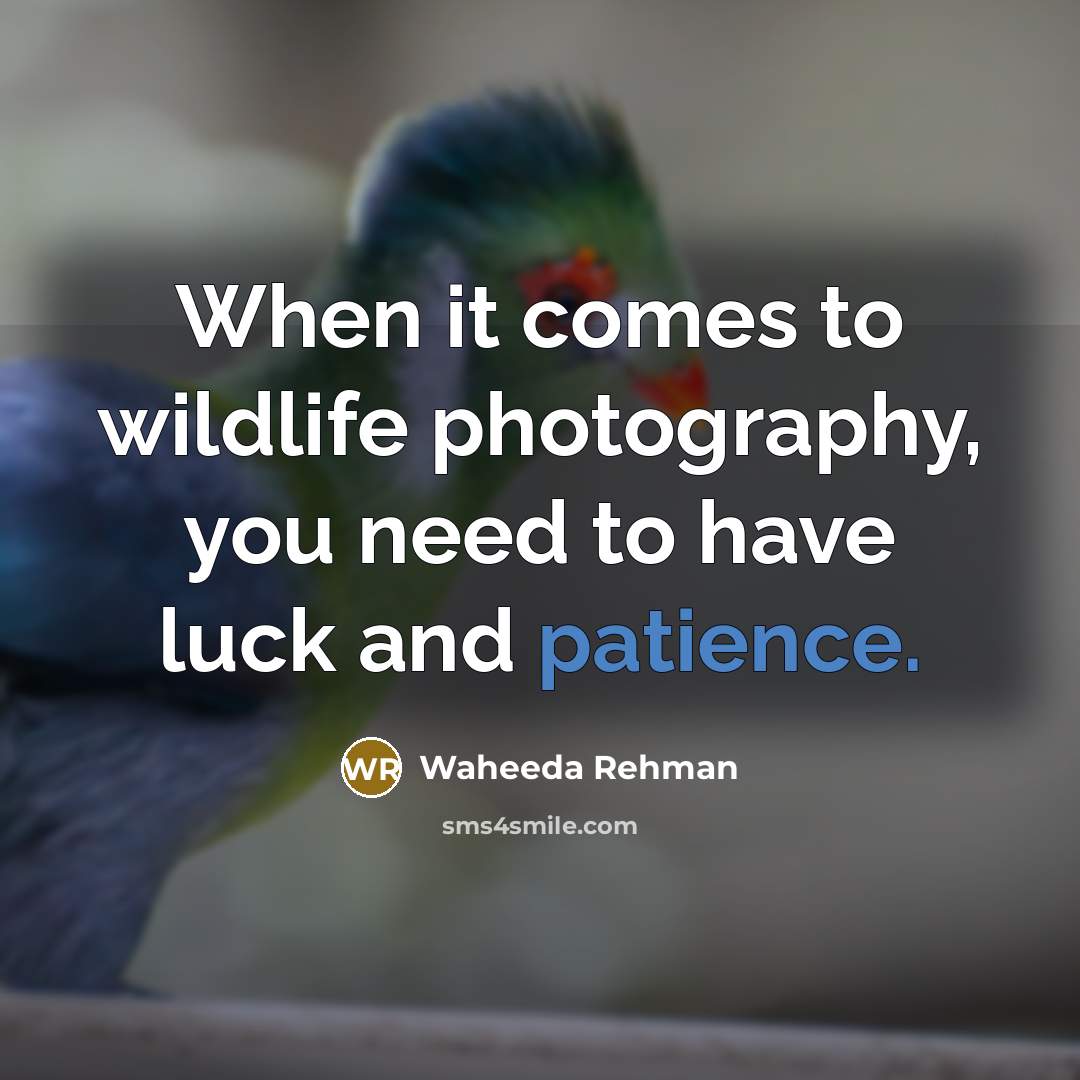 “When it comes to wildlife photography, you need to have…” quote by Waheeda Rehman