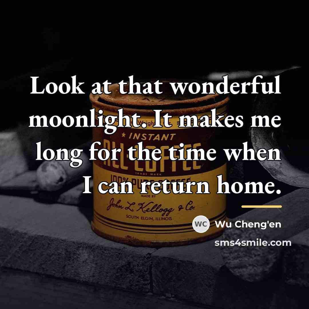 “Look at that wonderful moonlight. It makes me long for…” quote by Wu Cheng'en