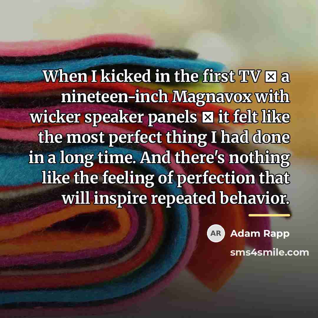 “When I kicked in the first TV  a nineteen-inch…” quote by Adam Rapp