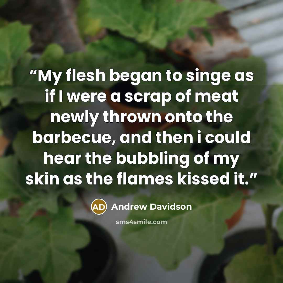 “My flesh began to singe as if I were a scrap of meat newly thrown onto the barbecue, and then i could hear the bubbling of my skin as the flames kissed it.” quote by Andrew Davidson
