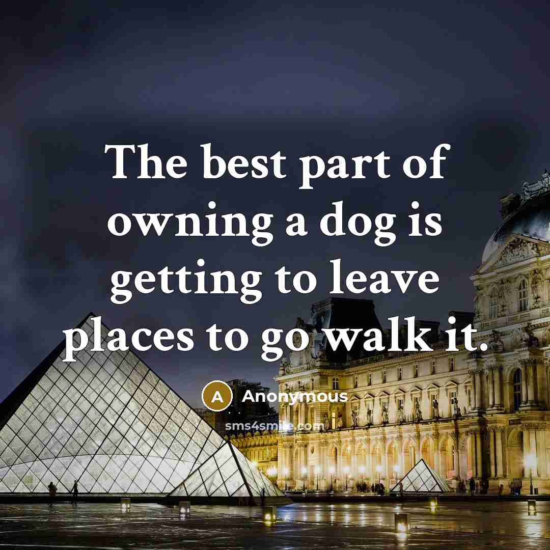 “The best part of owning a dog is getting to…” quote by Anonymous