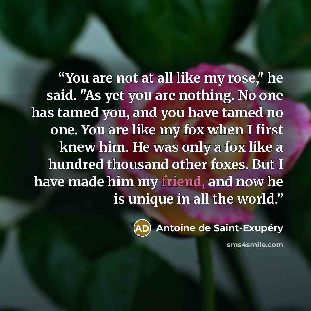 “You are not at all like my rose," he said. "As yet you are nothing. No one has tamed you, and you have tamed no one. You are like my fox when I first knew him. He was only a fox like a hundred thousand other foxes. But I have made him my friend, and now he is unique in all the world.” quote by Antoine de Saint-Exupéry