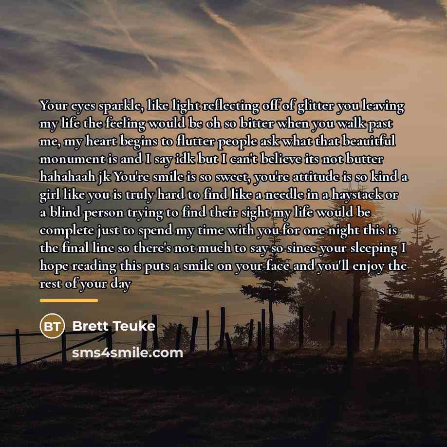 “Your eyes sparkle, like light reflecting off of glitter you…” quote by Brett Teuke