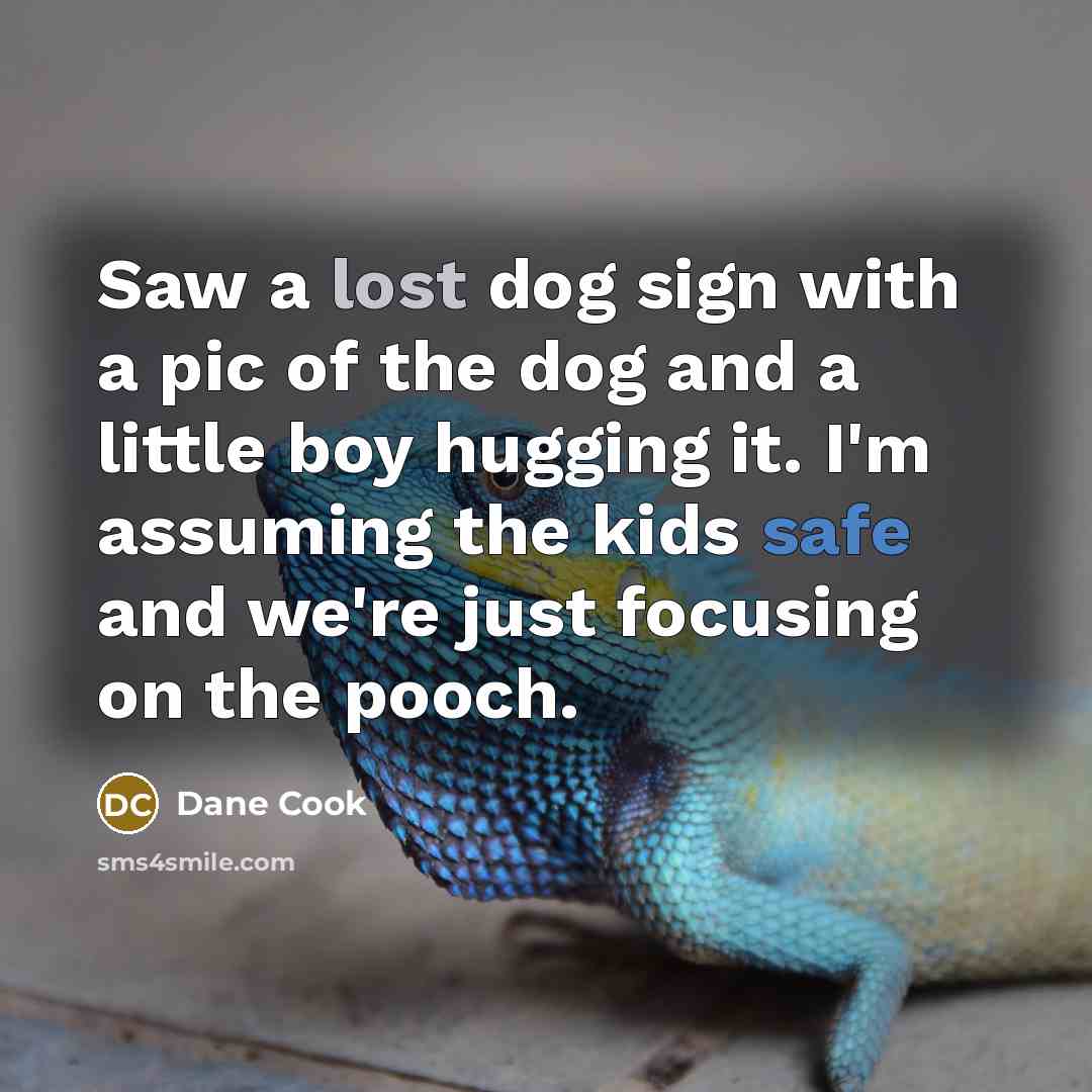 “Saw a lost dog sign with a pic of the dog and a little boy hugging it. I'm assuming the kids safe and we're just focusing on the pooch.” quote by Dane Cook