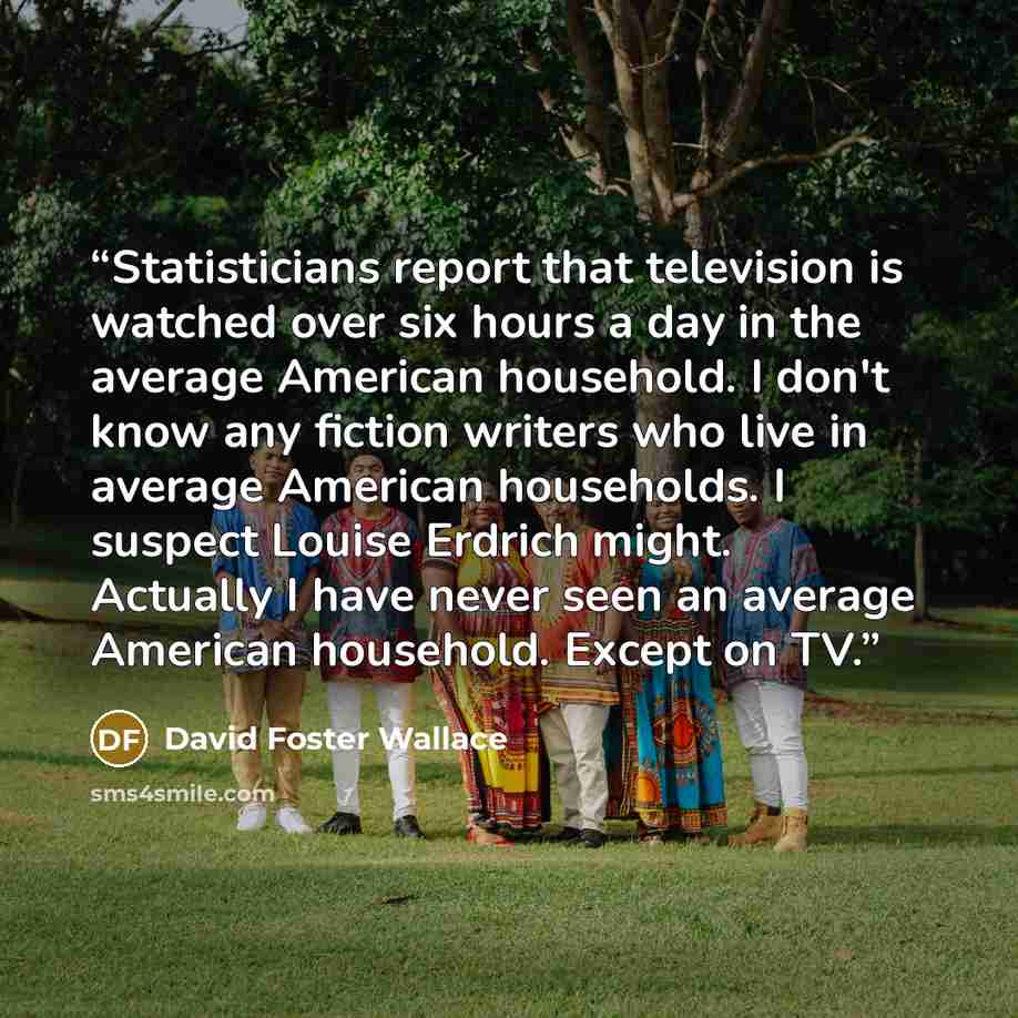 “Statisticians report that television is watched over six hours a day in the average American household. I don't know any fiction writers who live in average American households. I suspect Louise Erdrich might. Actually I have never seen an average American household. Except on TV.” quote by David Foster Wallace