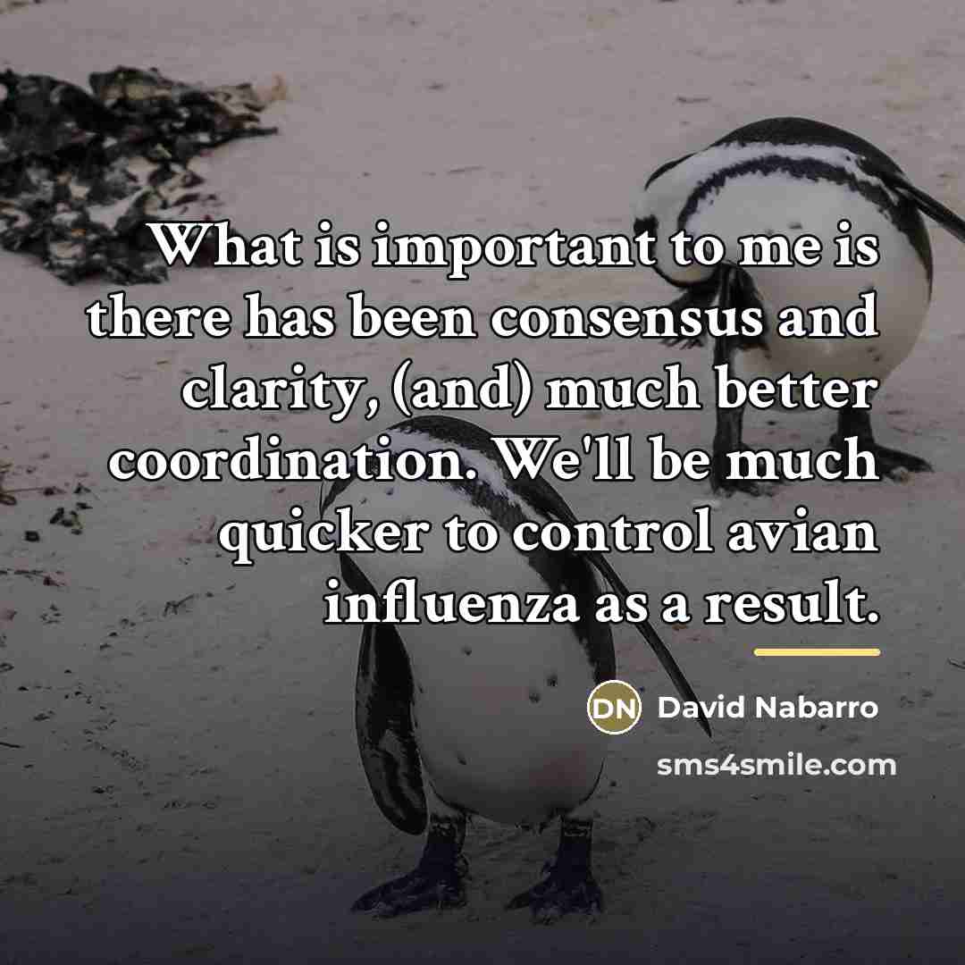 “What is important to me is there has been consensus…” quote by David Nabarro