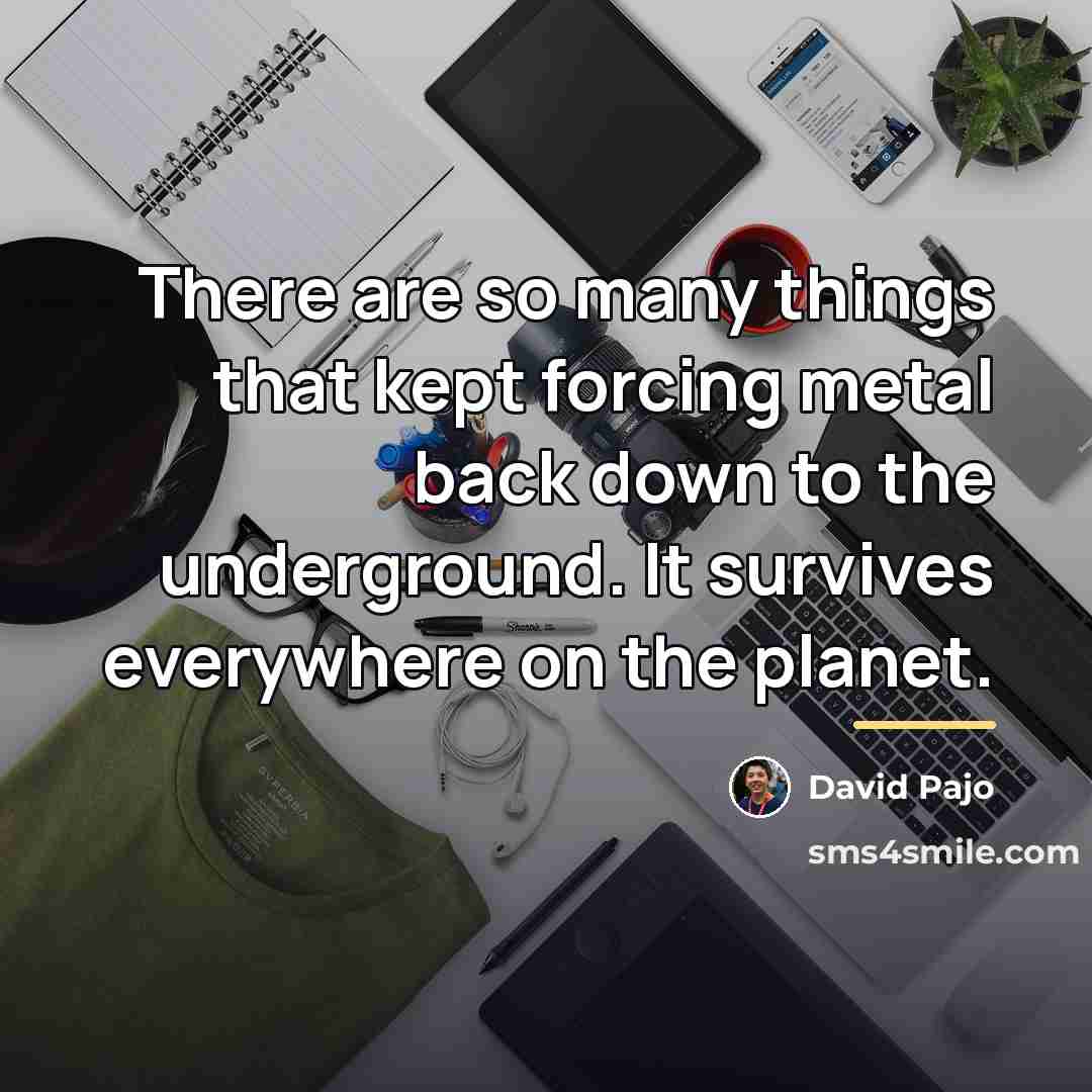 “There are so many things that kept forcing metal back…” quote by David Pajo