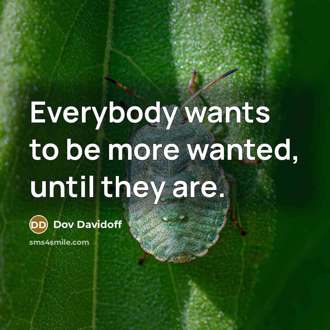 “Everybody wants to be more wanted, until they are.…” quote by Dov Davidoff