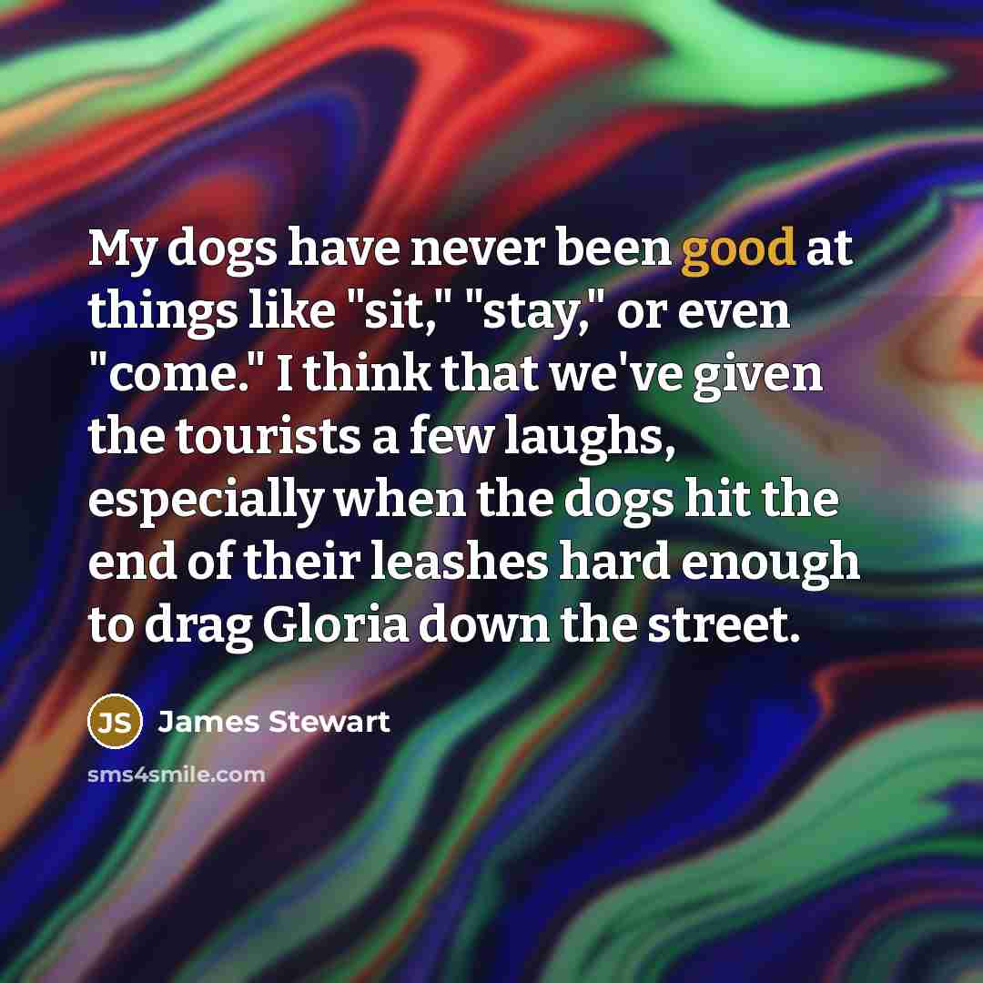 “My dogs have never been good at things like "sit,"…” quote by James Stewart