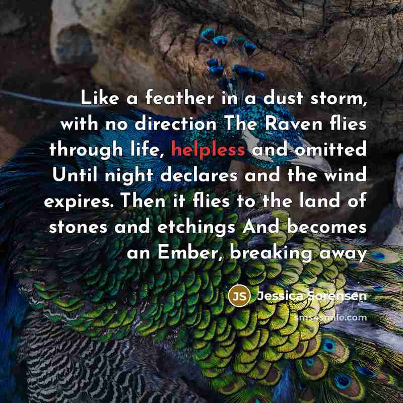 “Like a feather in a dust storm, with no direction…” quote by Jessica Sorensen