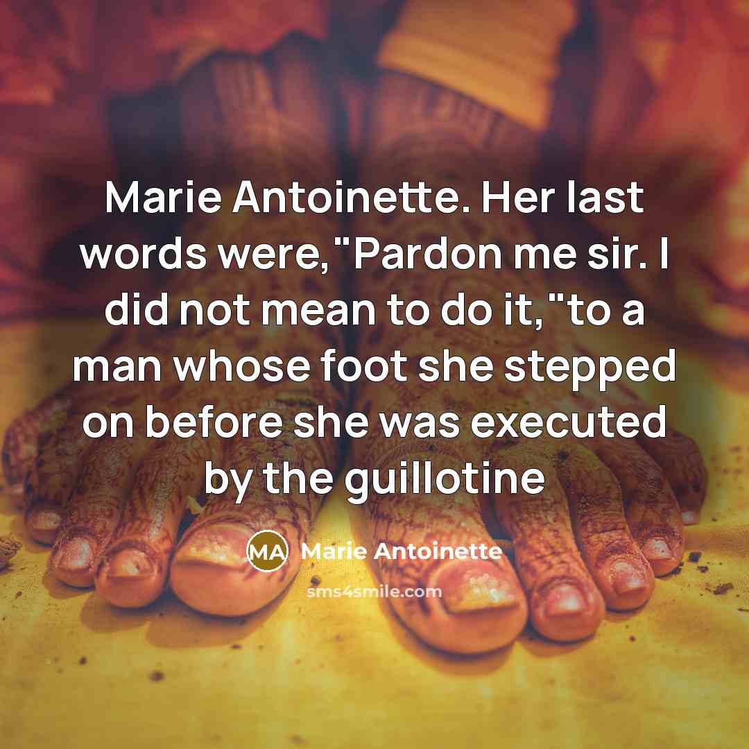 “Marie Antoinette. Her last words were,"Pardon me sir. I did not mean to do it,"to a man whose foot she stepped on before she was executed by the guillotine” quote by Marie Antoinette
