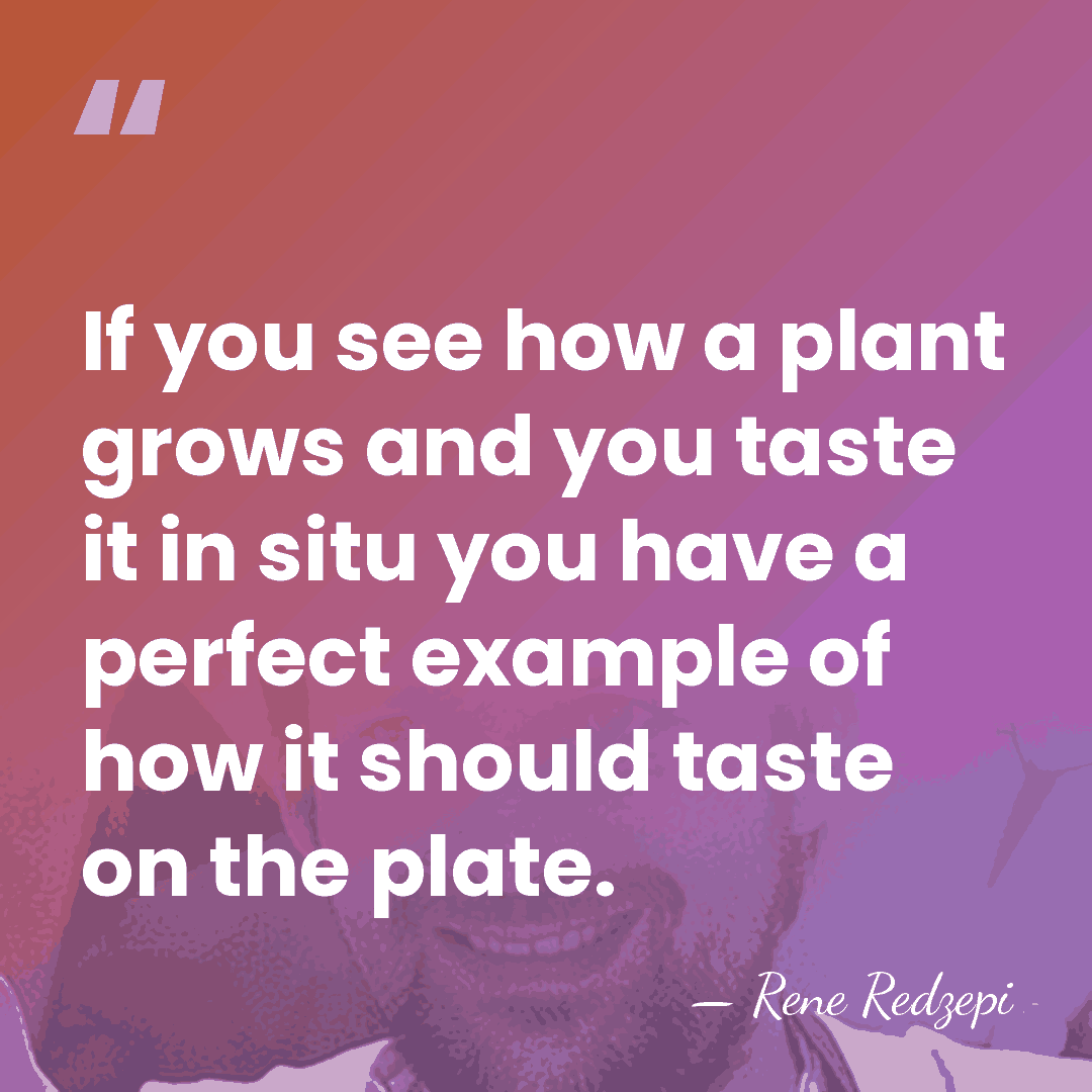 If you see how a plant grows and you taste it in&hellip; - Rene Redzepi