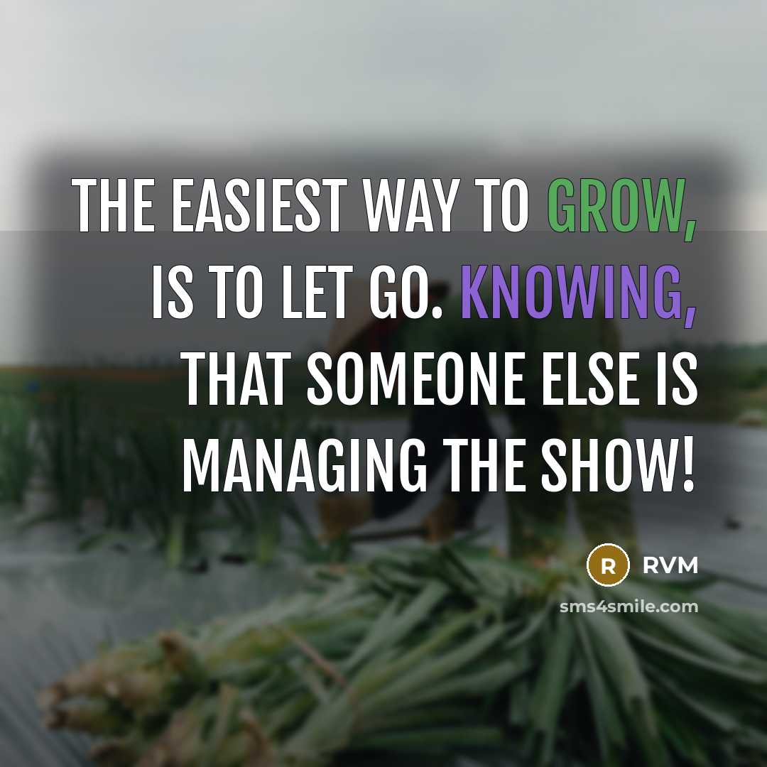 “The easiest way to Grow, is to let Go. Knowing, that someone else is managing the show!” quote by RVM