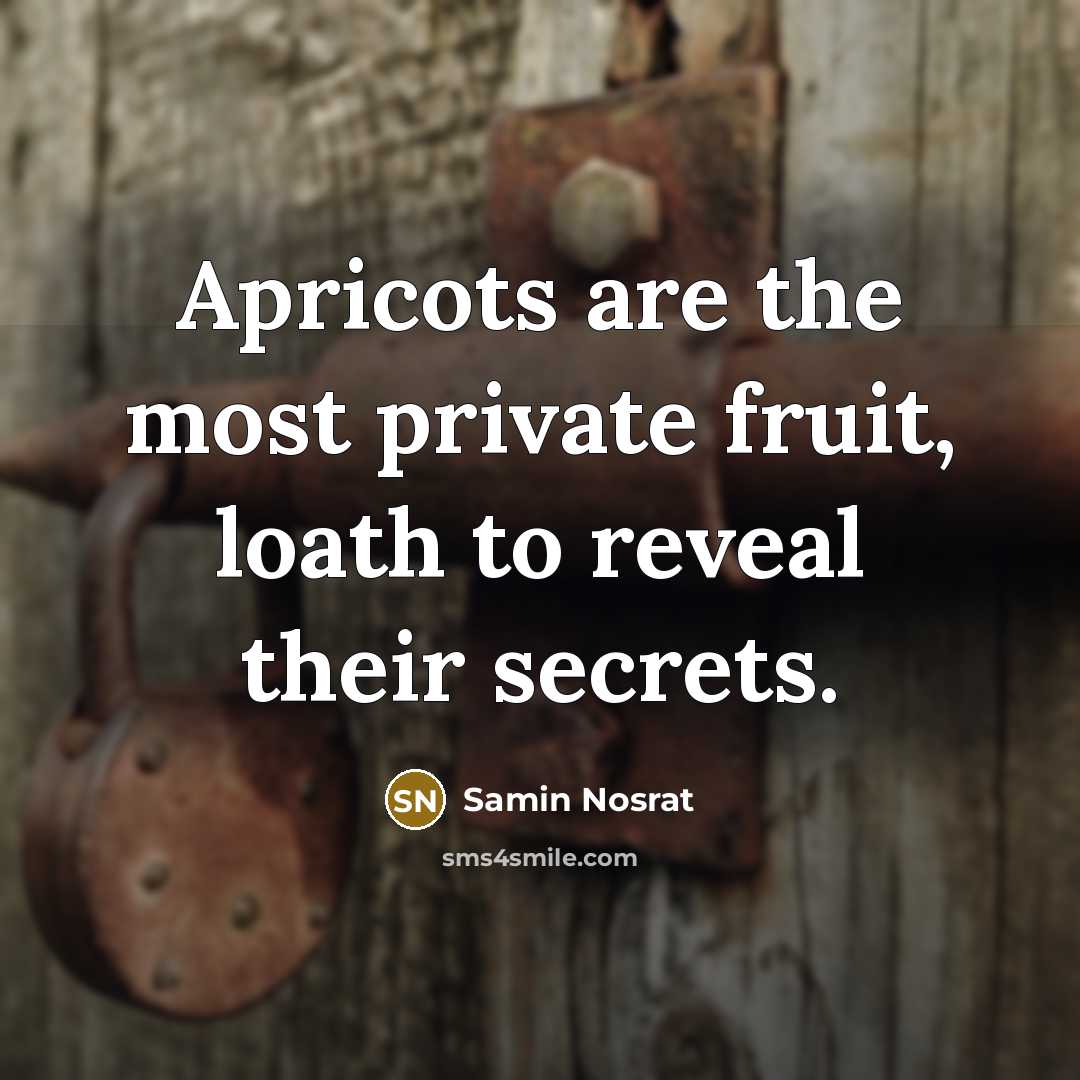 “Apricots are the most private fruit, loath to reveal their secrets.” quote by Samin Nosrat